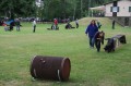 Welpentreffen_2014 